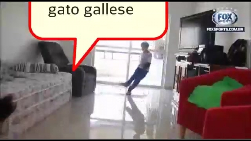 Кошачья буффон ада