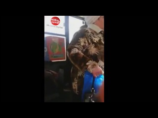 Неадекватный пассажир в троллейбусе