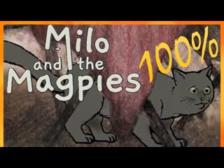 Milo and the magpies full game walkthrough