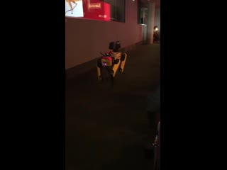 Spot the robot by bostondynamics at nxtbld