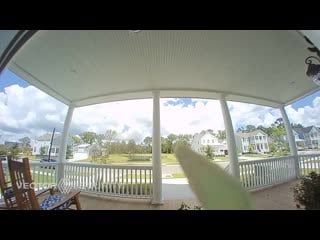 Installed a doorbell cam and finally caught the jerk that has been ding dong dashing me