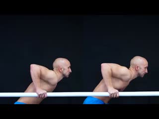 [calisthenicmovement] the official calisthenics checklist!