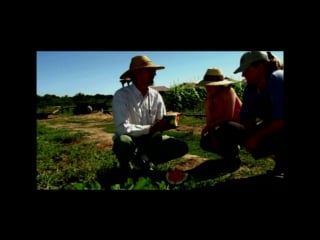 В защиту генной модификации нашей пищи