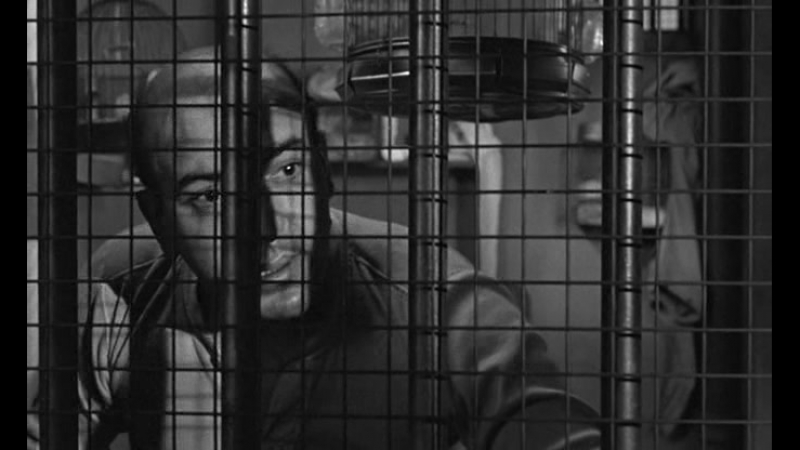 Любитель птиц из алькатраса (1962) / birdman of alcatraz (1962)