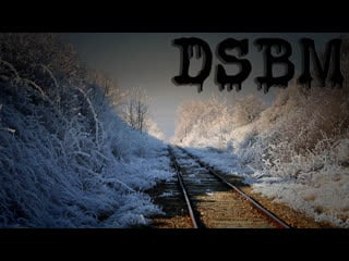 Train dsbm