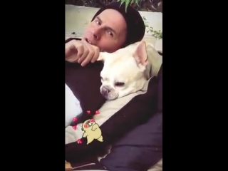 John taylor with his dog video by gela nash taylor