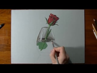 Red rose in a glass vase