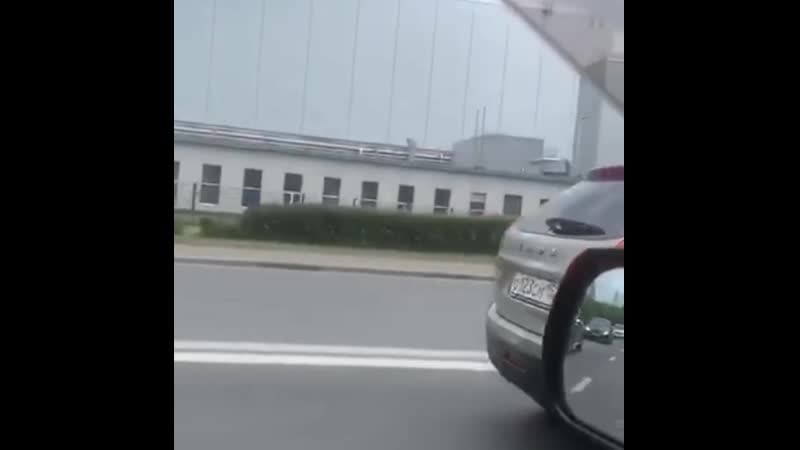 Дорожная вежливость