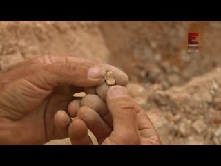 Aussie gold hunters s05e12 1080p