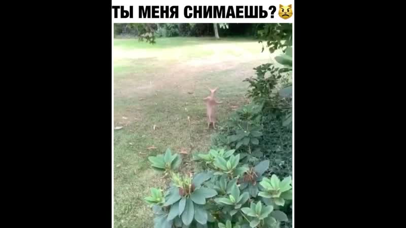 Хейтеры скажут фотошоп😂🤣