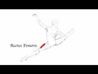 Sls temps de fleche ballet dance muscle anatomy stretching training program