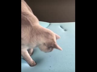 Experiencing memory foam for the first time