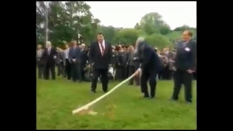 Я согласен это боян