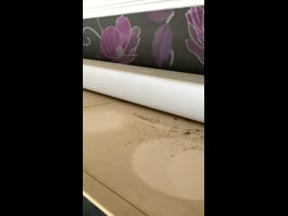 Где прячутся на кухне