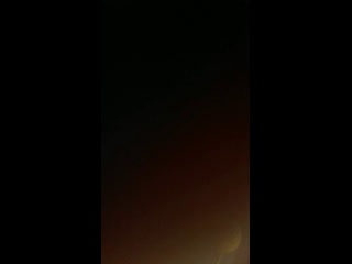 Live наше рыбацкое