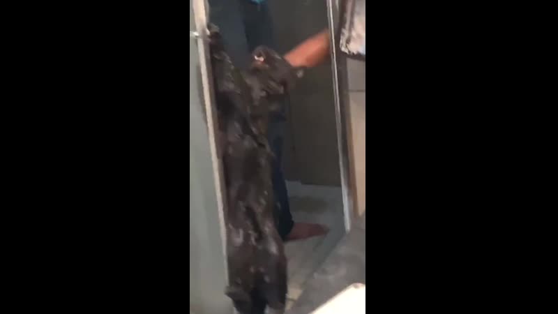 С легким паром👌🏻😀😀