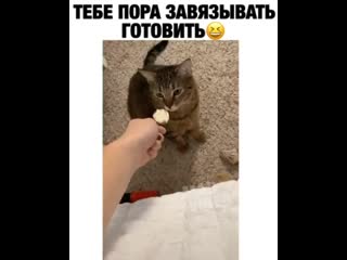 Дегустатор 😂