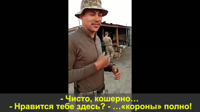 Американские ихтамнеты на украине