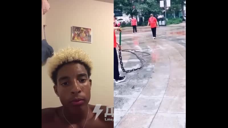 Генетическая память