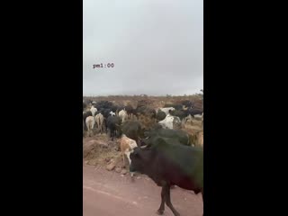 [ig] 190611 hyomin (t ara) instagram story