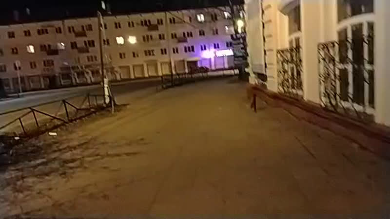 Вичуга вечерняя