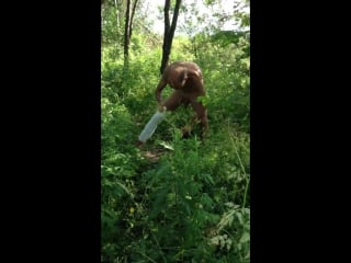 Как теперь срать) жесть 18+