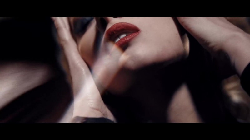 The labyrinth дика кішка