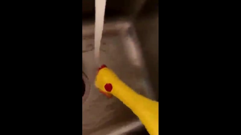 Начинайте утро с петухами!