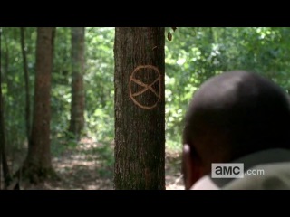 Сцена после титров