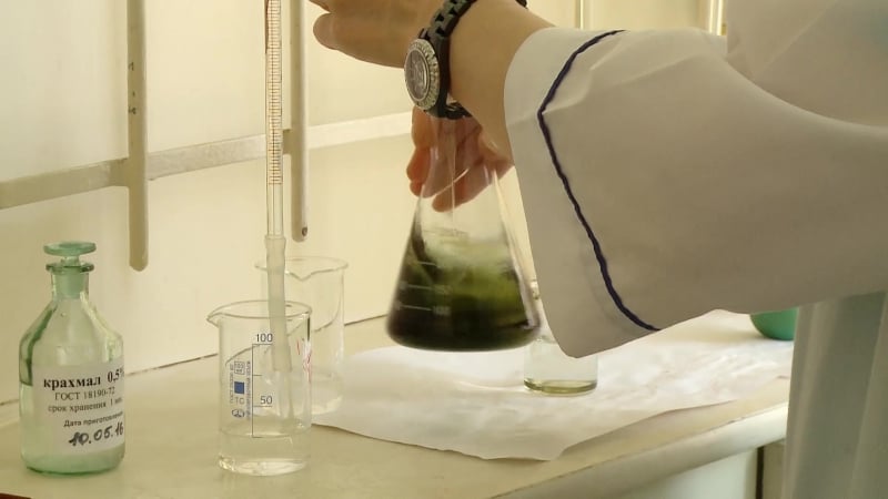 Кишечная палочка