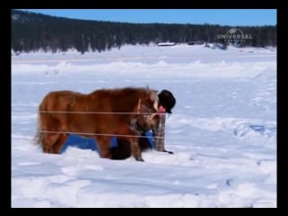 Million dollar listing s03e04