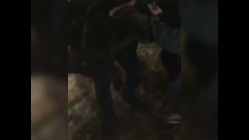 Иностранный специалист по молодые девочкам обнаружен в петербурге