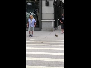 Bro helps mama duck and her babies get back to the river safely she had almost gotten squished by a car several streets back