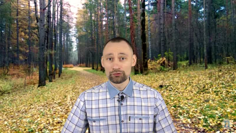 "стрекоза и муравей", басня и а крылова