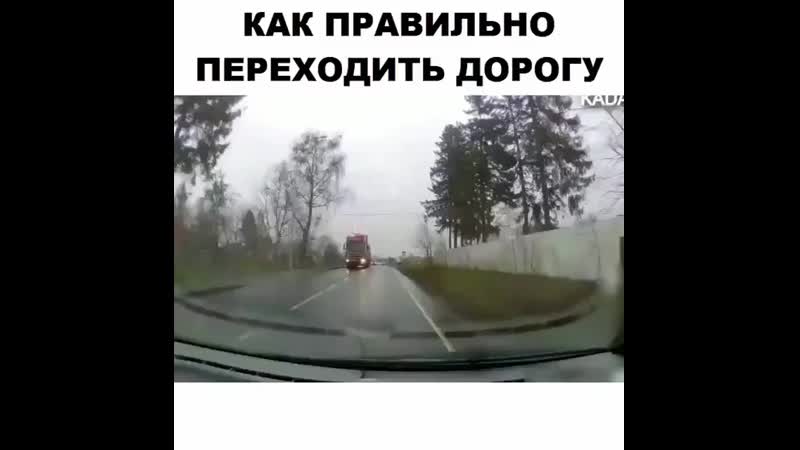 Video zhest 20191217 5 mp4