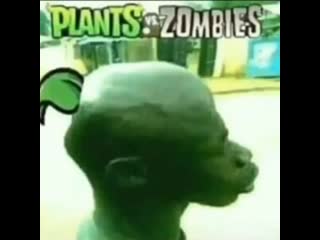 Plants vs zombies