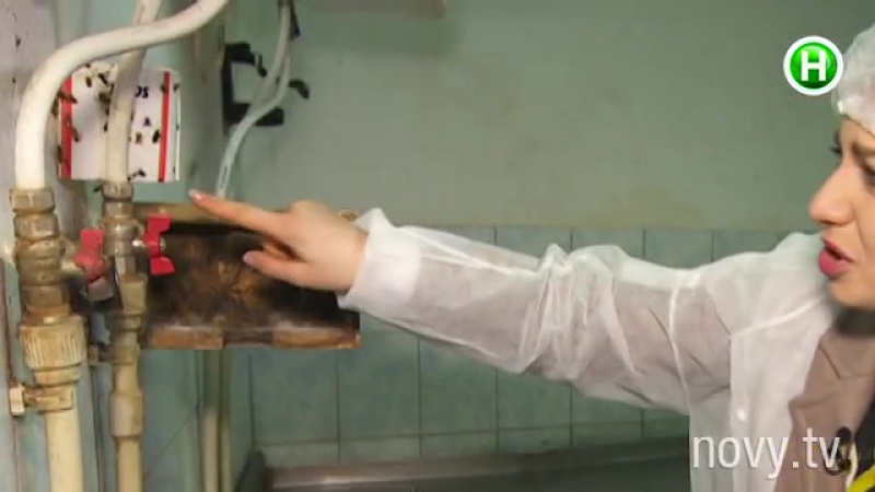 "ревізор магазини" сьогодні!