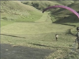 Starting paragliding