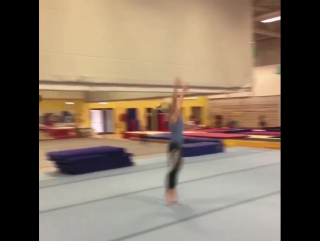 Гимнастическая тренироа