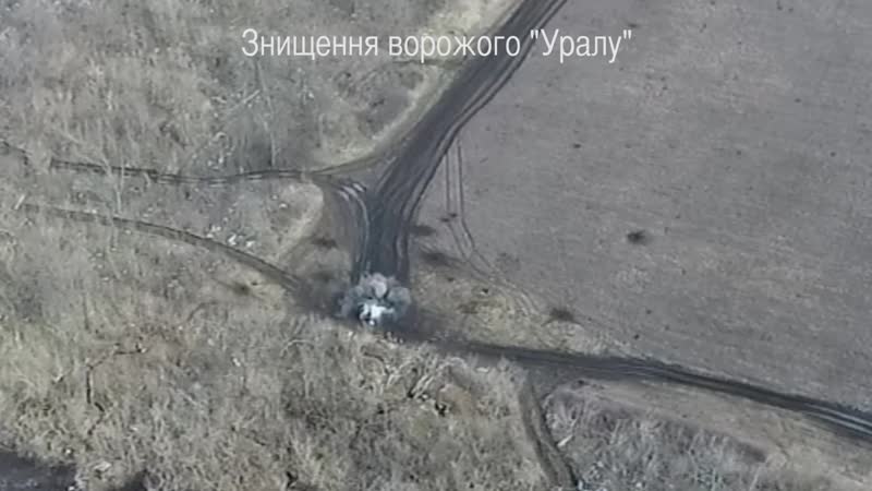 93 тя омбр холодний яр