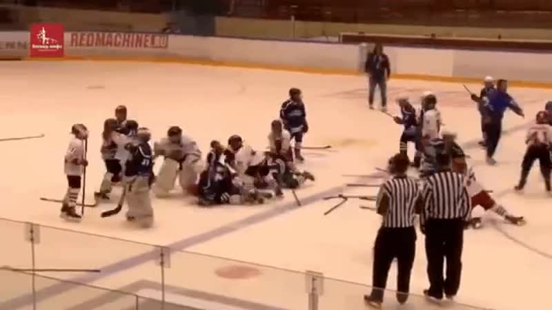 Хоккеисты устроили драку