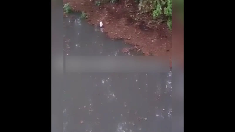 Нюрнберг чище будет