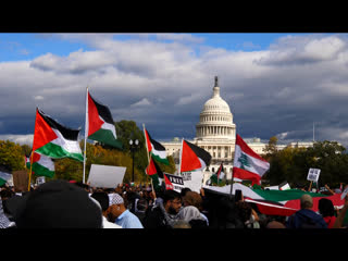 Estadounidenses marchan en apoyo a palestina