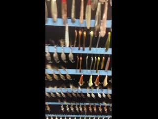 Video 20191026 160832 mp4