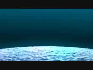 Yoshiwara rose collectorampaposs edition [opiumud]