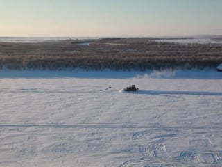 Бульдозер делает траншею в плейстоценовом парке 2