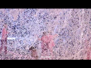 [fancam] 150723 lotte lovely young lucky (d o focus)