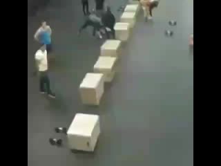 Gym ultimate 20191206 3 mp4