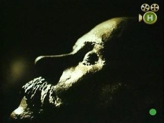 Тарас шевченко надії спадщина