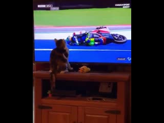 Fuck this bike in particular